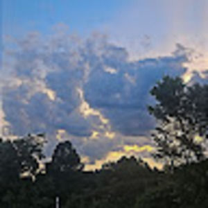 Meet your Posher, Shaedon